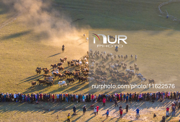 Tourists watch a Ten Thousand Steeds Gallop performance at Ulan Butong Grassland in Chifeng, China, on September 25, 2024. 