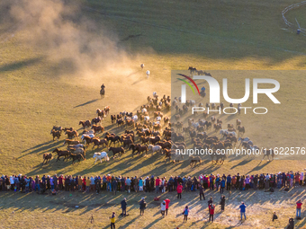 Tourists watch a Ten Thousand Steeds Gallop performance at Ulan Butong Grassland in Chifeng, China, on September 25, 2024. (