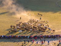 Tourists watch a Ten Thousand Steeds Gallop performance at Ulan Butong Grassland in Chifeng, China, on September 25, 2024. (