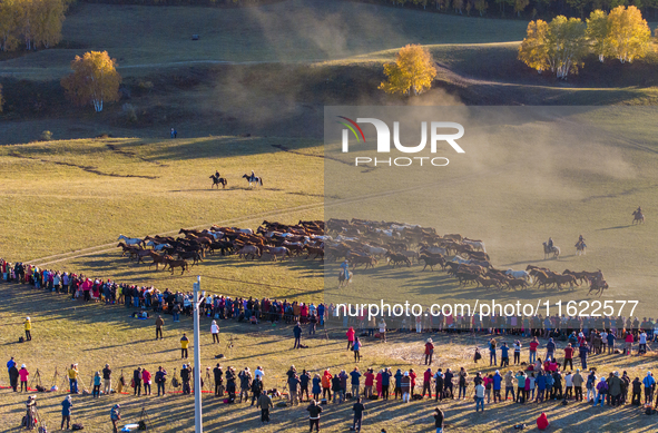 Tourists watch a Ten Thousand Steeds Gallop performance at Ulan Butong Grassland in Chifeng, China, on September 25, 2024. 