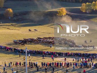 Tourists watch a Ten Thousand Steeds Gallop performance at Ulan Butong Grassland in Chifeng, China, on September 25, 2024. (