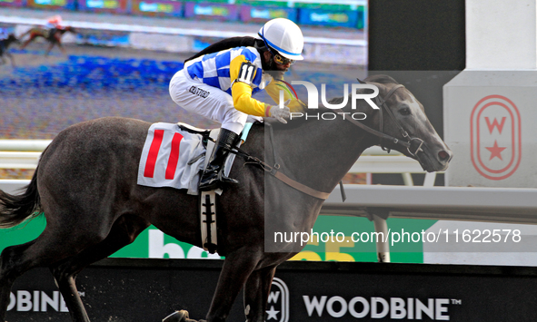 Jockey Juan Crawford rides Dark Screen to a win in the sixth race at Woodbine Racetrack in Toronto, Canada, on September 29, 2024. 