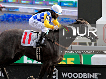 Jockey Juan Crawford rides Dark Screen to a win in the sixth race at Woodbine Racetrack in Toronto, Canada, on September 29, 2024. (