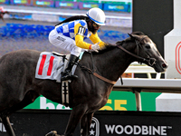 Jockey Juan Crawford rides Dark Screen to a win in the sixth race at Woodbine Racetrack in Toronto, Canada, on September 29, 2024. (