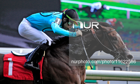 Jockey Sahin Civaci rides War Strategy to a win in the seventh race at Woodbine Racetrack in Toronto, Canada, on September 29, 2024. 