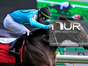 Jockey Sahin Civaci rides War Strategy to a win in the seventh race at Woodbine Racetrack in Toronto, Canada, on September 29, 2024. (