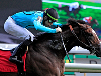 Jockey Sahin Civaci rides War Strategy to a win in the seventh race at Woodbine Racetrack in Toronto, Canada, on September 29, 2024. (