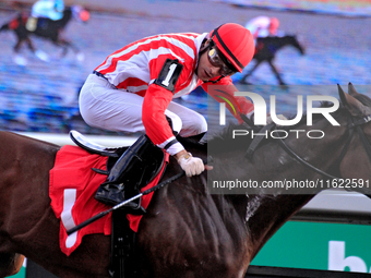 Jockey Sahin Civaci looks over at competitors while riding Giant Teddy to a win in the eighth race at Woodbine Racetrack in Toronto, Canada,...