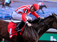 Jockey Sahin Civaci looks over at competitors while riding Giant Teddy to a win in the eighth race at Woodbine Racetrack in Toronto, Canada,...