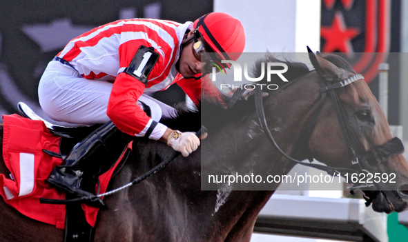 Jockey Sahin Civaci looks over at competitors while riding Giant Teddy to a win in the eighth race at Woodbine Racetrack in Toronto, Canada,...