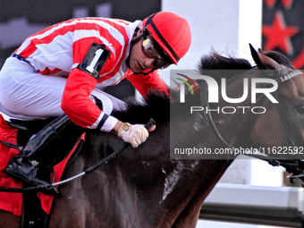 Jockey Sahin Civaci looks over at competitors while riding Giant Teddy to a win in the eighth race at Woodbine Racetrack in Toronto, Canada,...