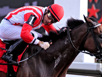 Jockey Sahin Civaci looks over at competitors while riding Giant Teddy to a win in the eighth race at Woodbine Racetrack in Toronto, Canada,...