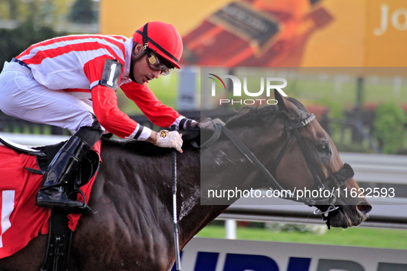 Jockey Sahin Civaci rides Giant Teddy to a win in the eighth race at Woodbine Racetrack in Toronto, Canada, on September 29, 2024. 