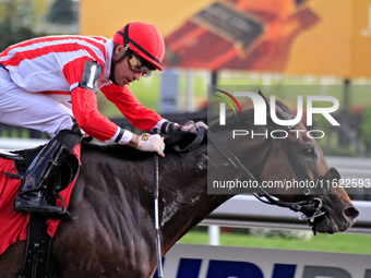 Jockey Sahin Civaci rides Giant Teddy to a win in the eighth race at Woodbine Racetrack in Toronto, Canada, on September 29, 2024. (