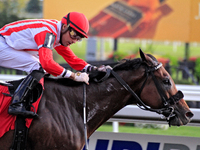 Jockey Sahin Civaci rides Giant Teddy to a win in the eighth race at Woodbine Racetrack in Toronto, Canada, on September 29, 2024. (