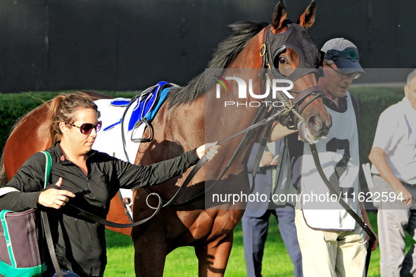 Connections for Chiefswood Stables walk Roscar around the walking ring ahead of a win in the 134th running of the $400,000 Breeders' Stakes,...