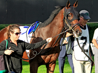 Connections for Chiefswood Stables walk Roscar around the walking ring ahead of a win in the 134th running of the $400,000 Breeders' Stakes,...