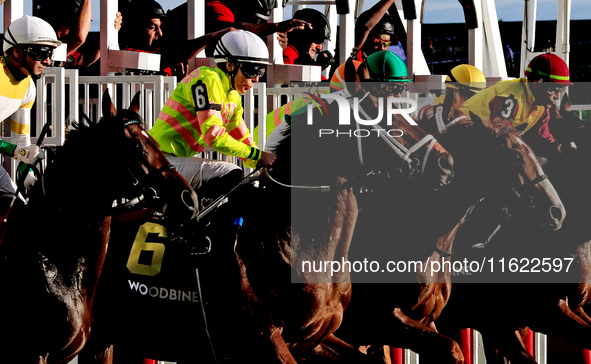 Jockey Emma-Jayne Wilson rides Jokestar (6) at the start of the 134th running of the $400,000 Breeders' Stakes, the third race of the OLG Ca...