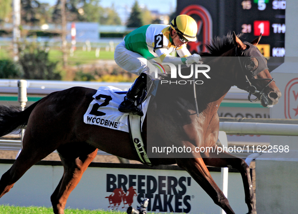 Jockey Justin Stein rides Roscar to a win in the 134th running of the $400,000 Breeders' Stakes, the third race of the OLG Canadian Triple C...