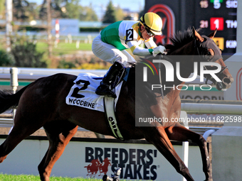 Jockey Justin Stein rides Roscar to a win in the 134th running of the $400,000 Breeders' Stakes, the third race of the OLG Canadian Triple C...