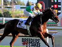 Jockey Justin Stein rides Roscar to a win in the 134th running of the $400,000 Breeders' Stakes, the third race of the OLG Canadian Triple C...