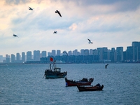 Fishing boats return to the coast of Gujia Island, a new area on the west coast of Qingdao, Shandong province, China, on September 29, 2024....