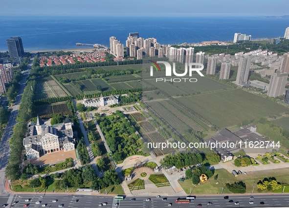 View of Changyu-Castel Winery in Yantai, China, on September 16, 2024. 