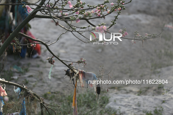 Plastics remain entangled in the branches of a tree along the embankments of the Bagmati River in Kathmandu, Nepal, on September 29, 2024. N...