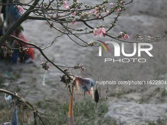 Plastics remain entangled in the branches of a tree along the embankments of the Bagmati River in Kathmandu, Nepal, on September 29, 2024. N...