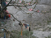 Plastics remain entangled in the branches of a tree along the embankments of the Bagmati River in Kathmandu, Nepal, on September 29, 2024. N...