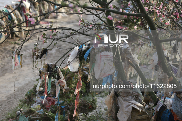 Plastics remain entangled in the branches of a tree along the embankments of the Bagmati River in Kathmandu, Nepal, on September 29, 2024. N...