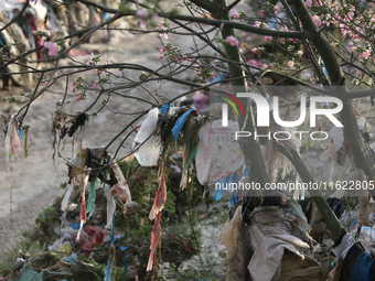 Plastics remain entangled in the branches of a tree along the embankments of the Bagmati River in Kathmandu, Nepal, on September 29, 2024. N...