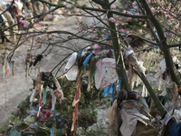 Plastics remain entangled in the branches of a tree along the embankments of the Bagmati River in Kathmandu, Nepal, on September 29, 2024. N...