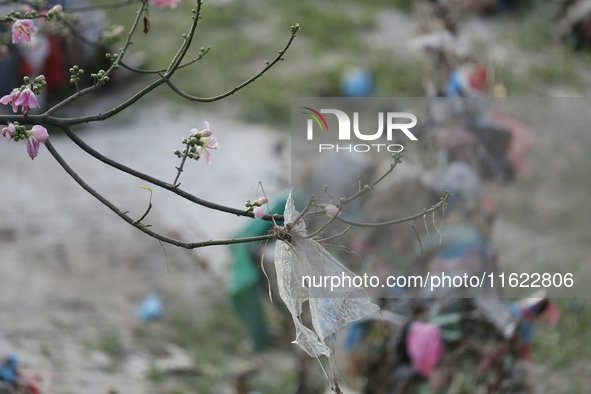 Plastics remain entangled in the branches of a tree along the embankments of the Bagmati River in Kathmandu, Nepal, on September 29, 2024. N...