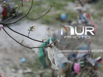 Plastics remain entangled in the branches of a tree along the embankments of the Bagmati River in Kathmandu, Nepal, on September 29, 2024. N...