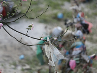 Plastics remain entangled in the branches of a tree along the embankments of the Bagmati River in Kathmandu, Nepal, on September 29, 2024. N...