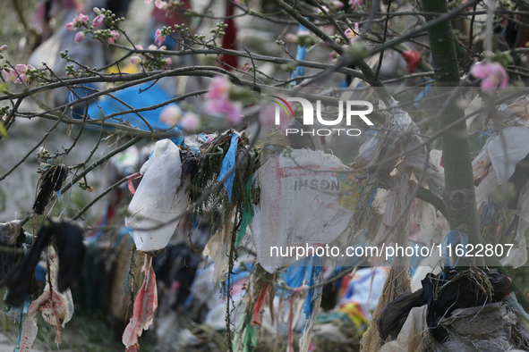 Plastics remain entangled in the branches of a tree along the embankments of the Bagmati River in Kathmandu, Nepal, on September 29, 2024. N...