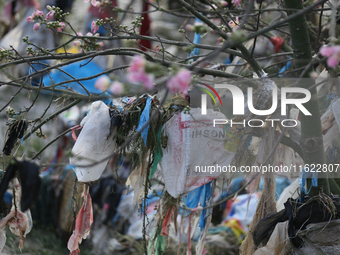 Plastics remain entangled in the branches of a tree along the embankments of the Bagmati River in Kathmandu, Nepal, on September 29, 2024. N...