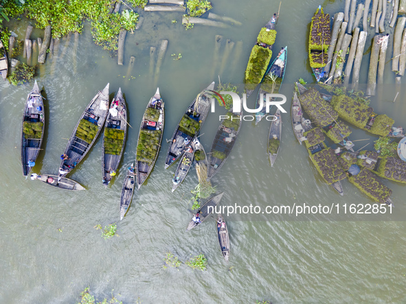 An aerial view shows traders selling fruits and vegetables from boats at Boithakata floating market on the Belua River in Pirojpur, Barisal,...