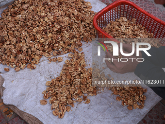 A vendor sorts walnut seeds as he waits for customers in Handwara, Jammu and Kashmir, India, on September 28, 2024. (