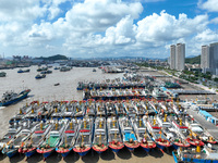 Many fishing boats dock at Shenjiamen Fishing Port in Putuo district of Zhoushan City, Zhejiang province, in Zhoushan, China, on September 3...