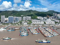 Many fishing boats dock at Shenjiamen Fishing Port in Putuo district of Zhoushan City, Zhejiang province, in Zhoushan, China, on September 3...