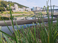 The bare scenery of the Qingshui River beach during the dry season in Jinping, Guizhou, China, on September 30, 2024. (