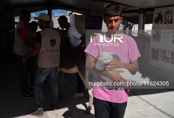 A Palestinian youth waits to have his cat examined at a newly opened clinic for animal care at a displacement camp in Deir el-Balah, Gaza St...