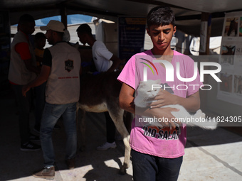 A Palestinian youth waits to have his cat examined at a newly opened clinic for animal care at a displacement camp in Deir el-Balah, Gaza St...