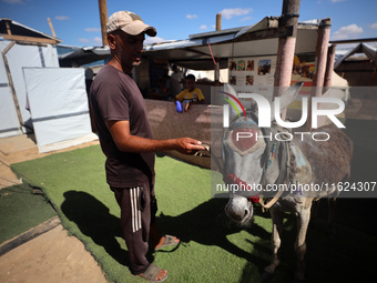 Palestinians bring their donkeys for treatment at a newly opened clinic for animal care at a displacement camp in Deir el-Balah, Gaza Strip,...