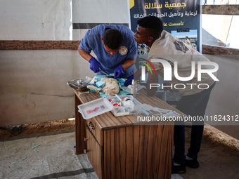 Veterinarians treat a cat at a newly opened clinic for animal care at a displacement camp in Deir el-Balah, Gaza Strip, on September 30, 202...