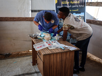 Veterinarians treat a cat at a newly opened clinic for animal care at a displacement camp in Deir el-Balah, Gaza Strip, on September 30, 202...