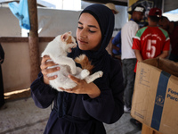 A Palestinian girl carries her cat at a newly opened clinic for animal care at a displacement camp in Deir el-Balah in the central Gaza Stri...