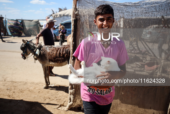 A Palestinian youth waits to have his cat examined at a newly opened clinic for animal care at a displacement camp in Deir el-Balah, Gaza St...